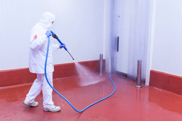 Best Solar Panel Cleaning  in Buckhead, GA