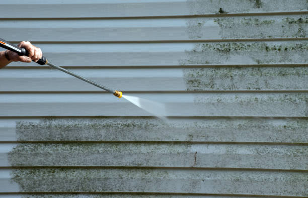Best Residential Exterior Washing  in Buckhead, GA